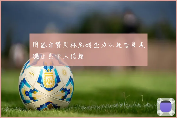 图赫尔赞贝林厄姆全力以赴态度表现出色令人信赖